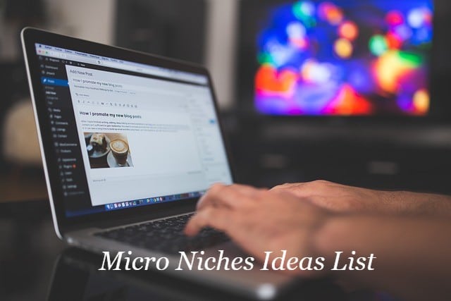 Micro Niches Ideas List